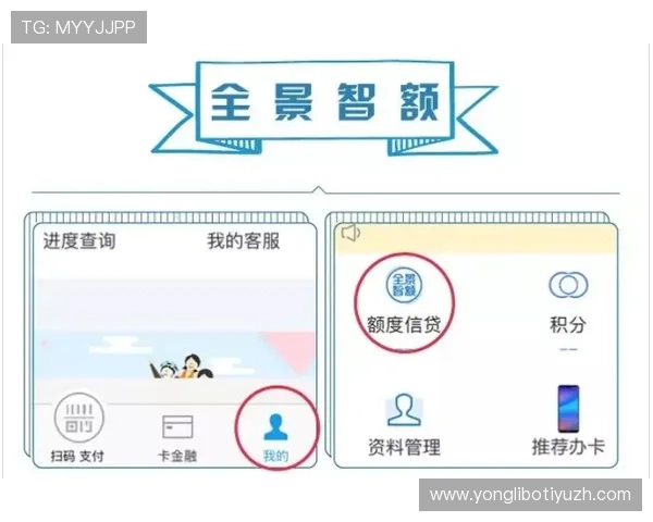 利用皇冠信用盘提升游戏交易成功率:实用技巧与常见误区解析 利用皇冠信用盘提升游戏交易成功率:实用技巧与常见误区解析