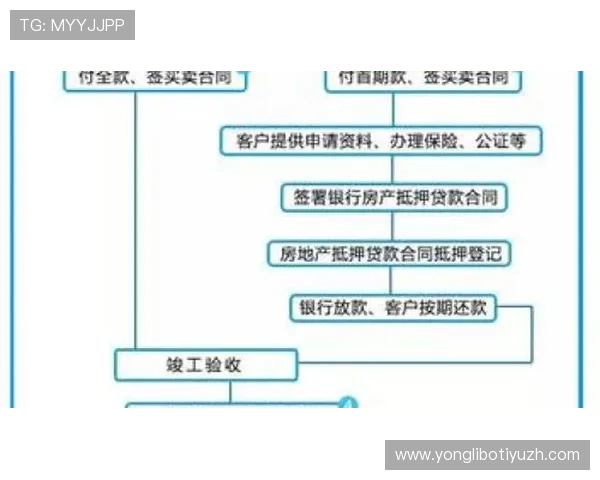 如何快速完成8868体育会员登录流程确保账号安全与顺畅体验 如何快速完成8868体育会员登录流程确保账号安全与顺畅体验