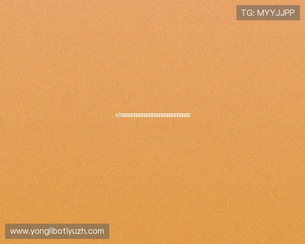 K8真人国际厅游戏种类全景：多样化真人娱乐满足不同玩家需求